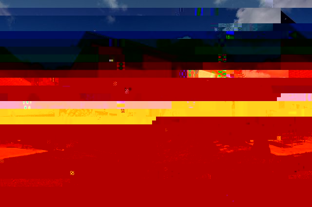 19.JPG